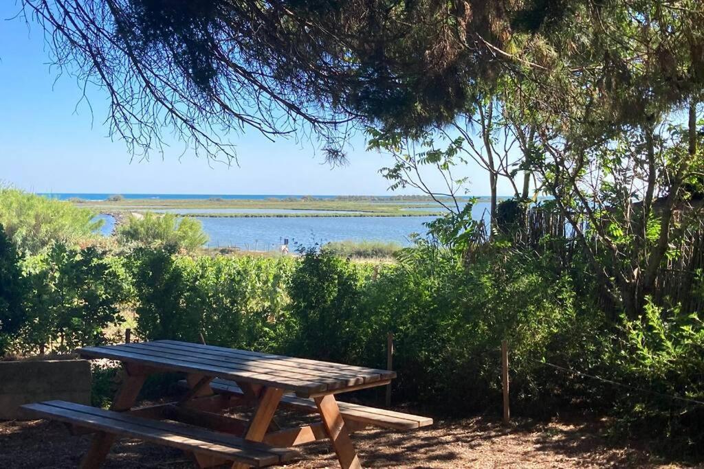 Magnifique Villa Avec Piscine Villeneuve-lès-Maguelonne Eksteriør bilde