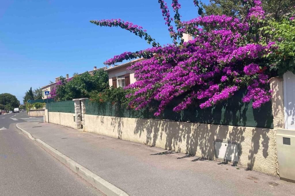 Magnifique Villa Avec Piscine Villeneuve-lès-Maguelonne Eksteriør bilde